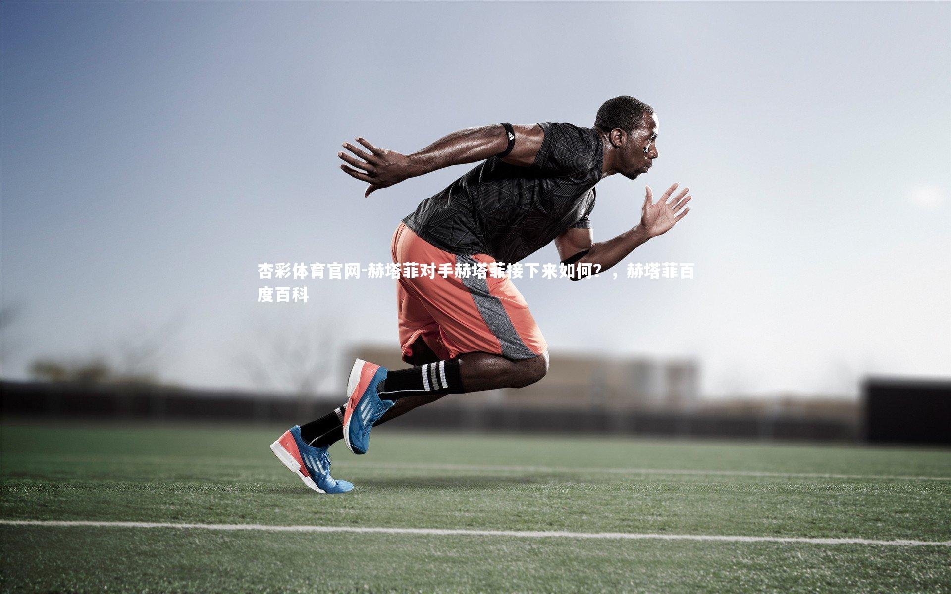 赫塔菲对手赫塔菲接下来如何？，赫塔菲百度百科