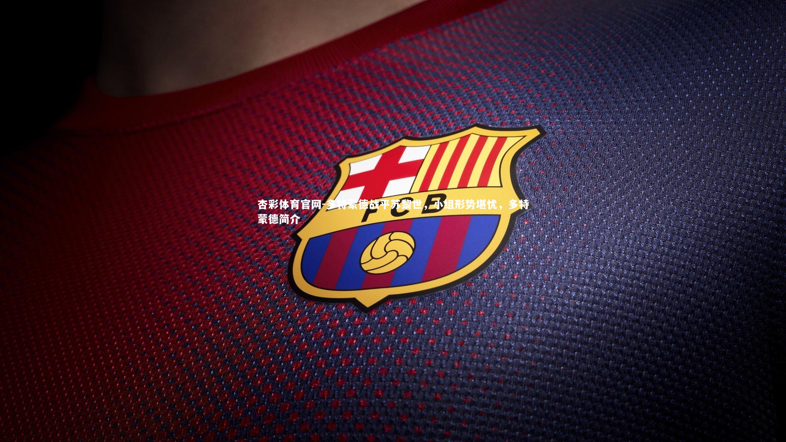 多特蒙德战平苏黎世，小组形势堪忧，多特蒙德简介