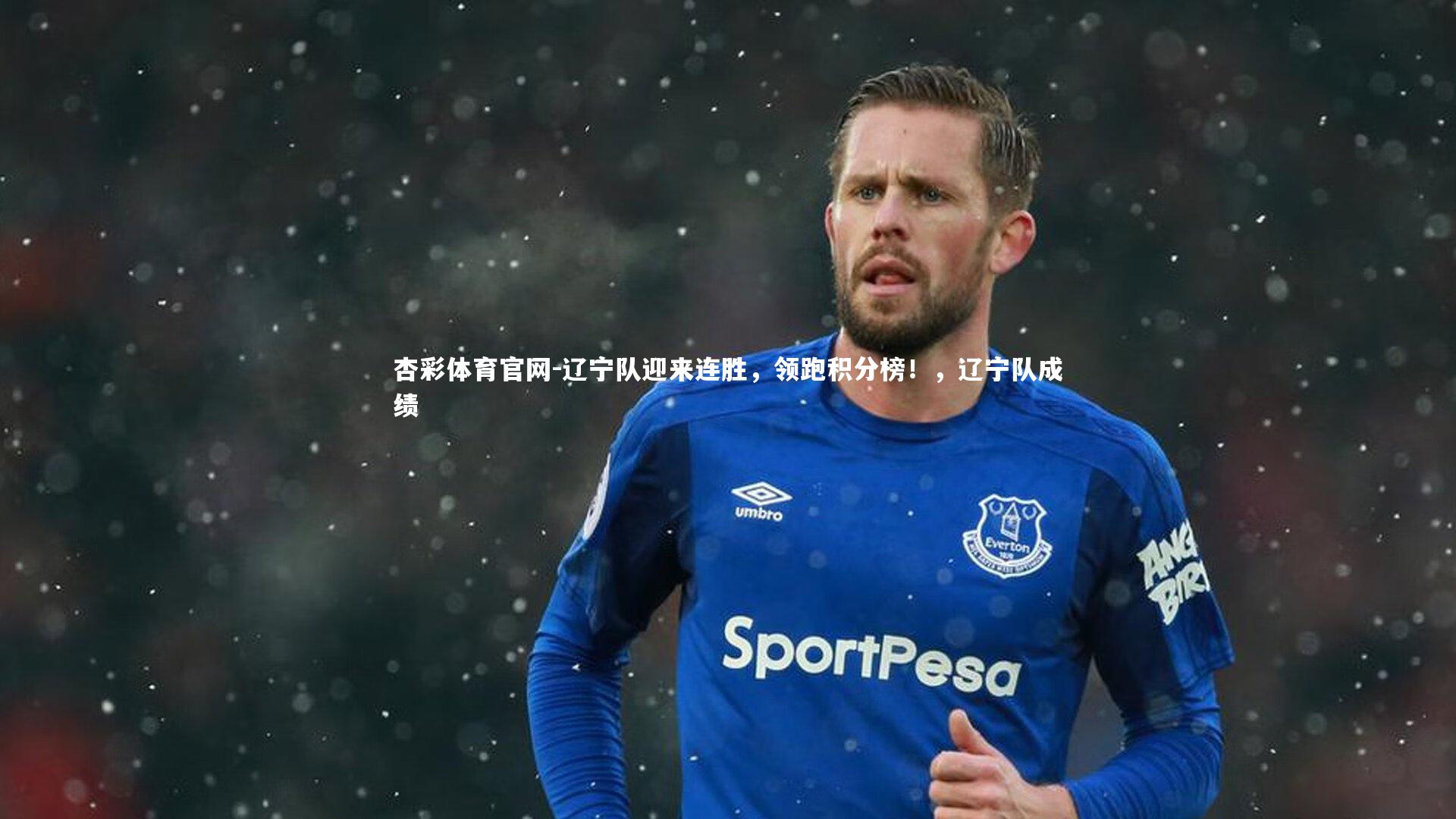 辽宁队迎来连胜，领跑积分榜！，辽宁队成绩
