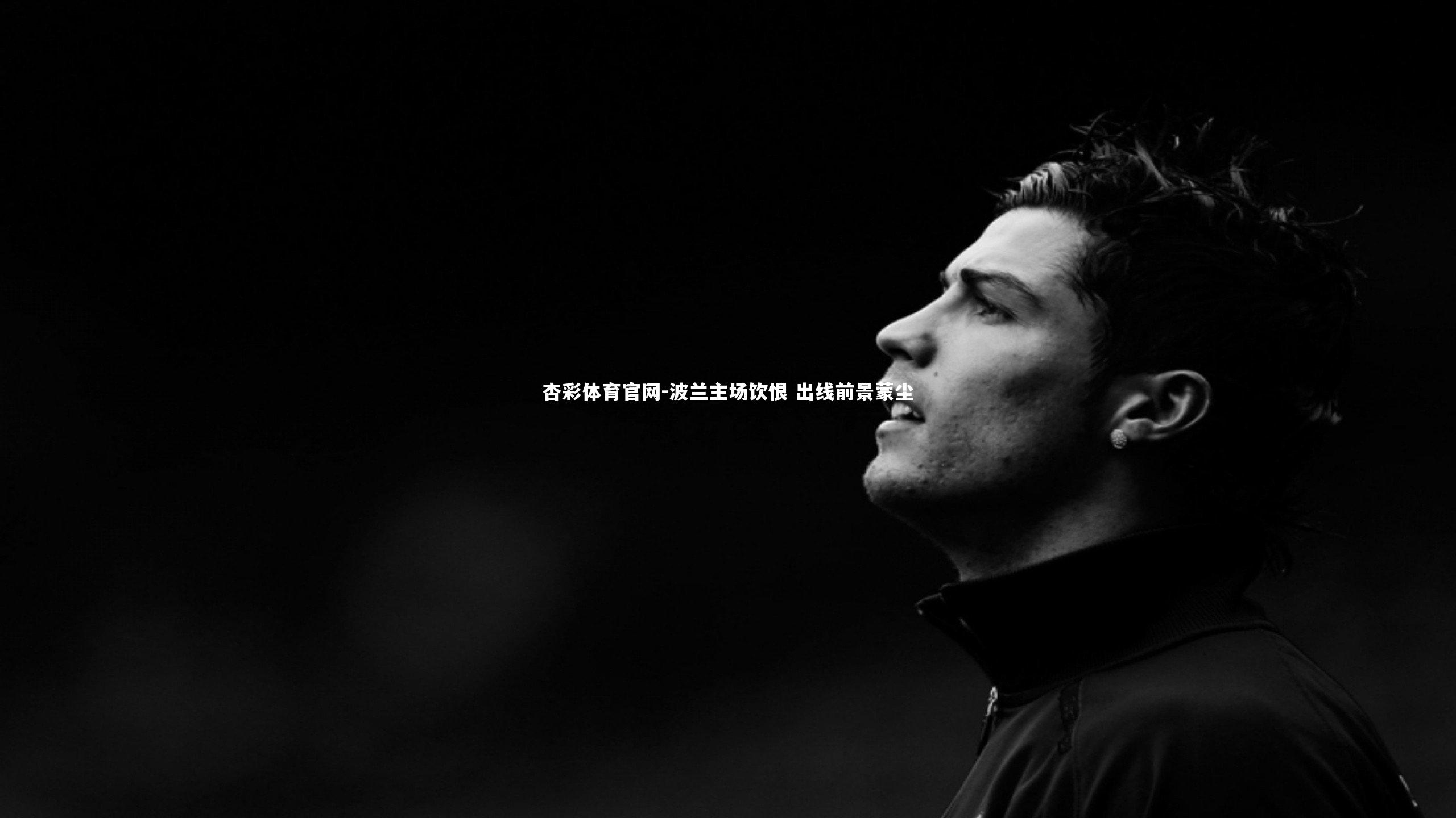 波兰主场饮恨 出线前景蒙尘