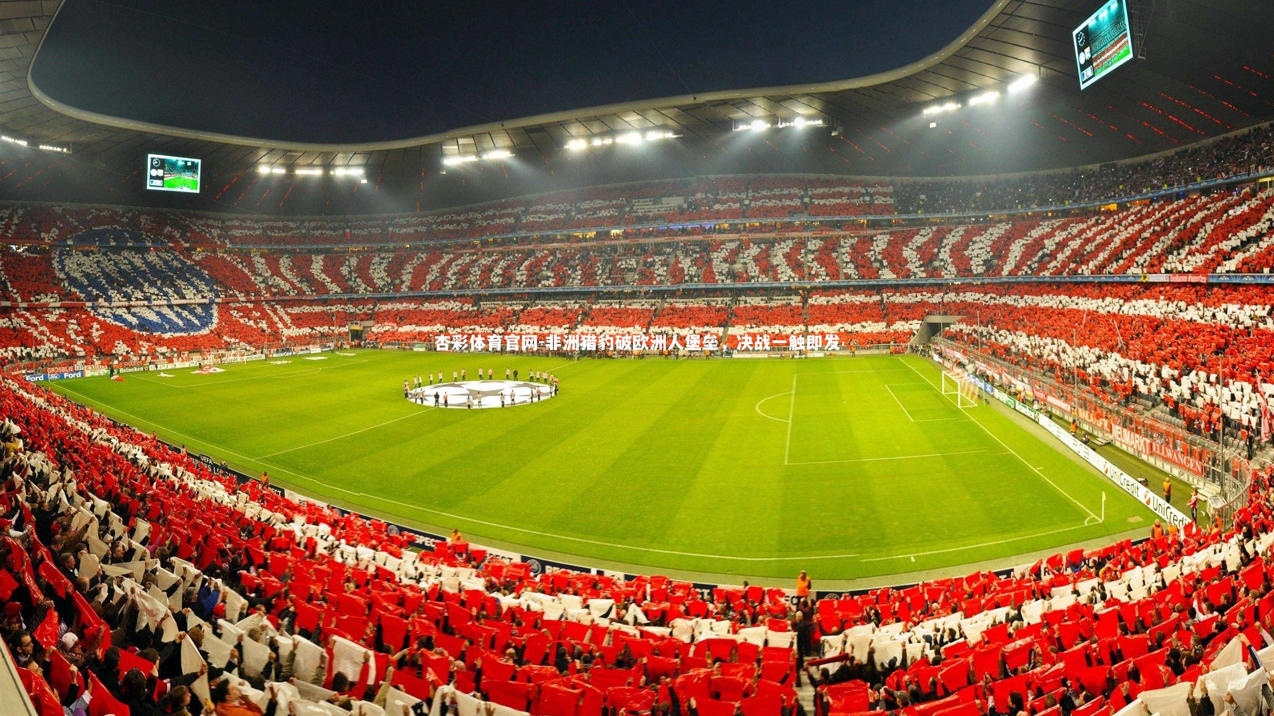 非洲猎豹破欧洲人堡垒，决战一触即发